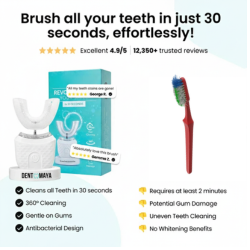 DENT MAYA TOOTHBRUSH 360