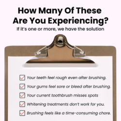 DENT MAYA TOOTHBRUSH 360